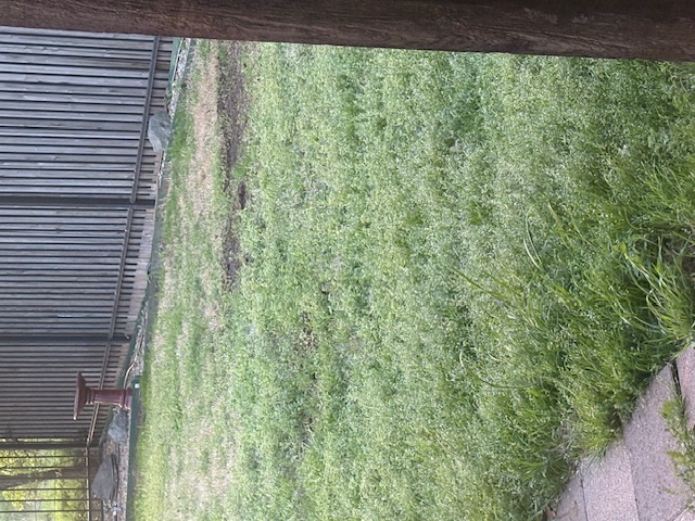 Before